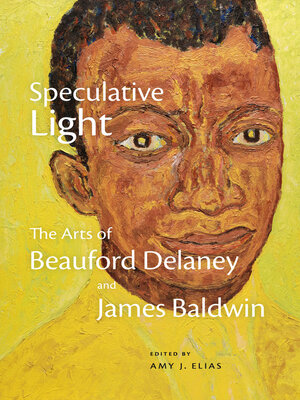 cover image of Speculative Light